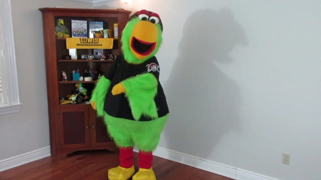 The Pittsburgh Pirates mascot the Pittsburgh Parrot is seen at a