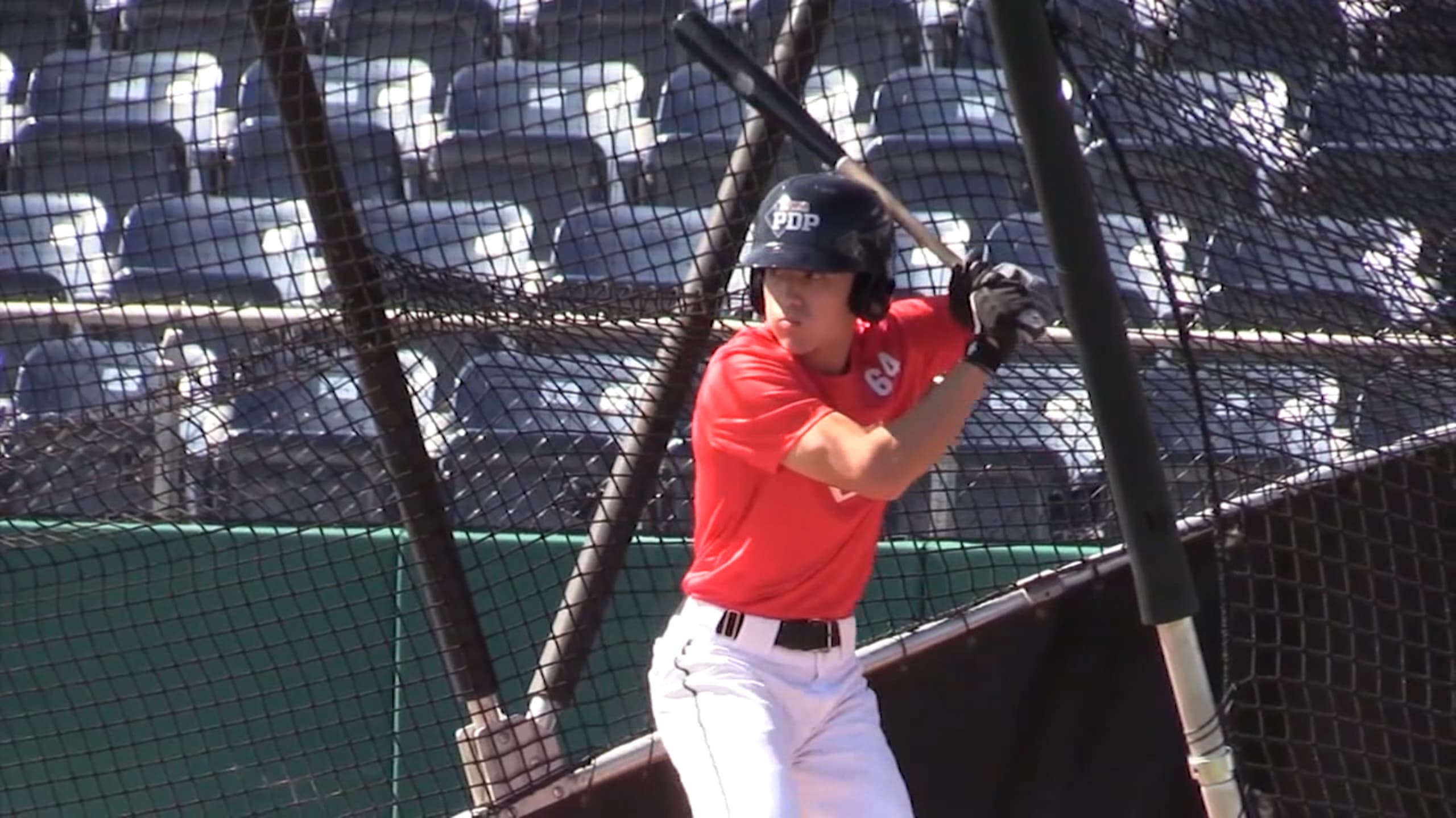 Comparing Caroll and Kelenic