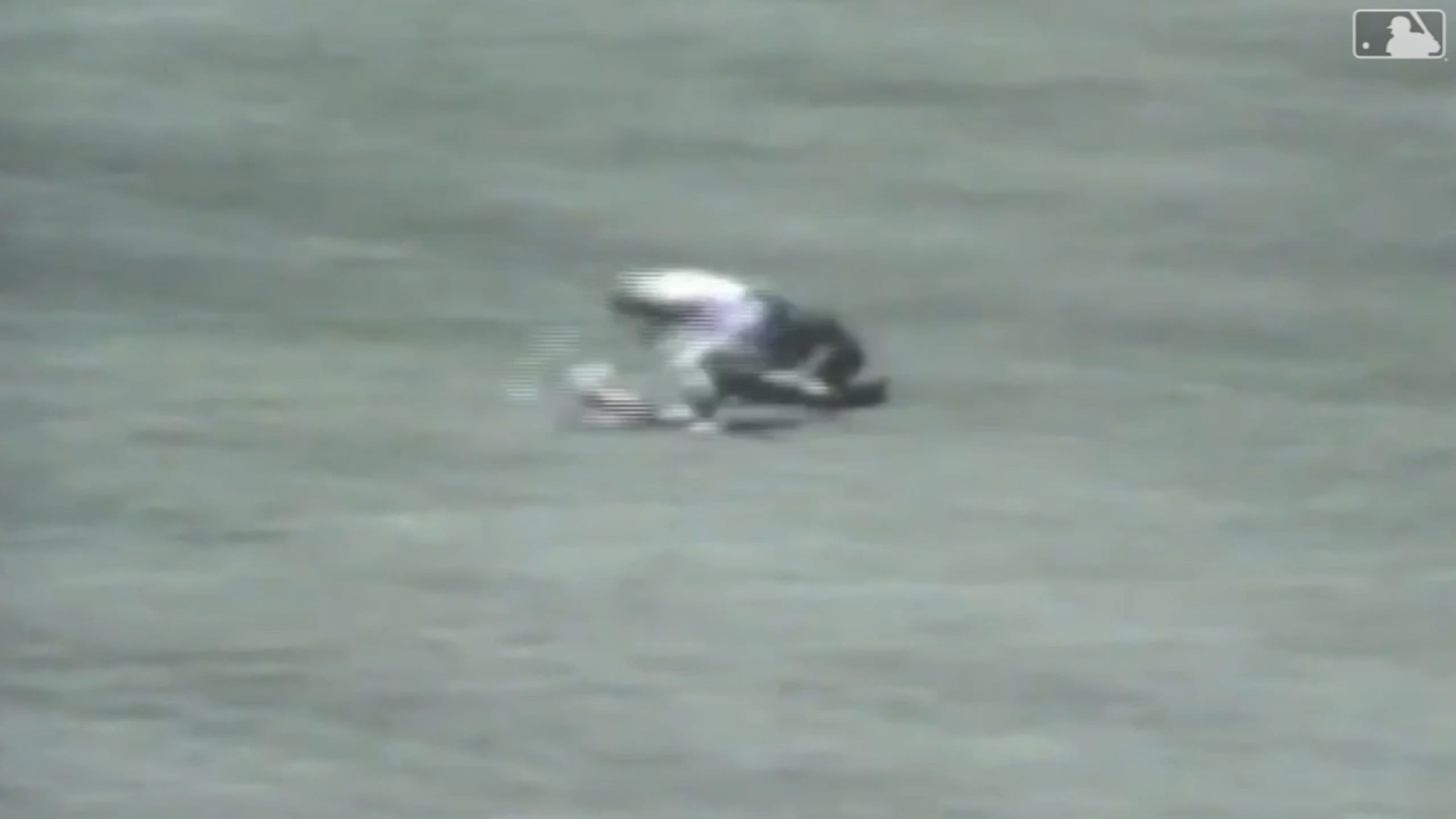 Rick Monday saves American flag