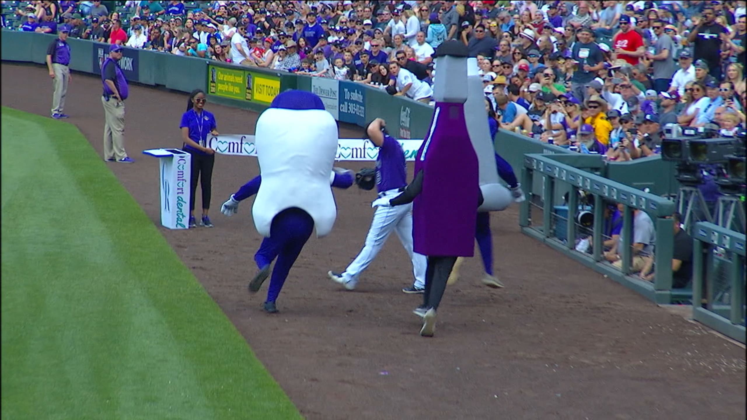 Murphy vs. the Tooth Trot