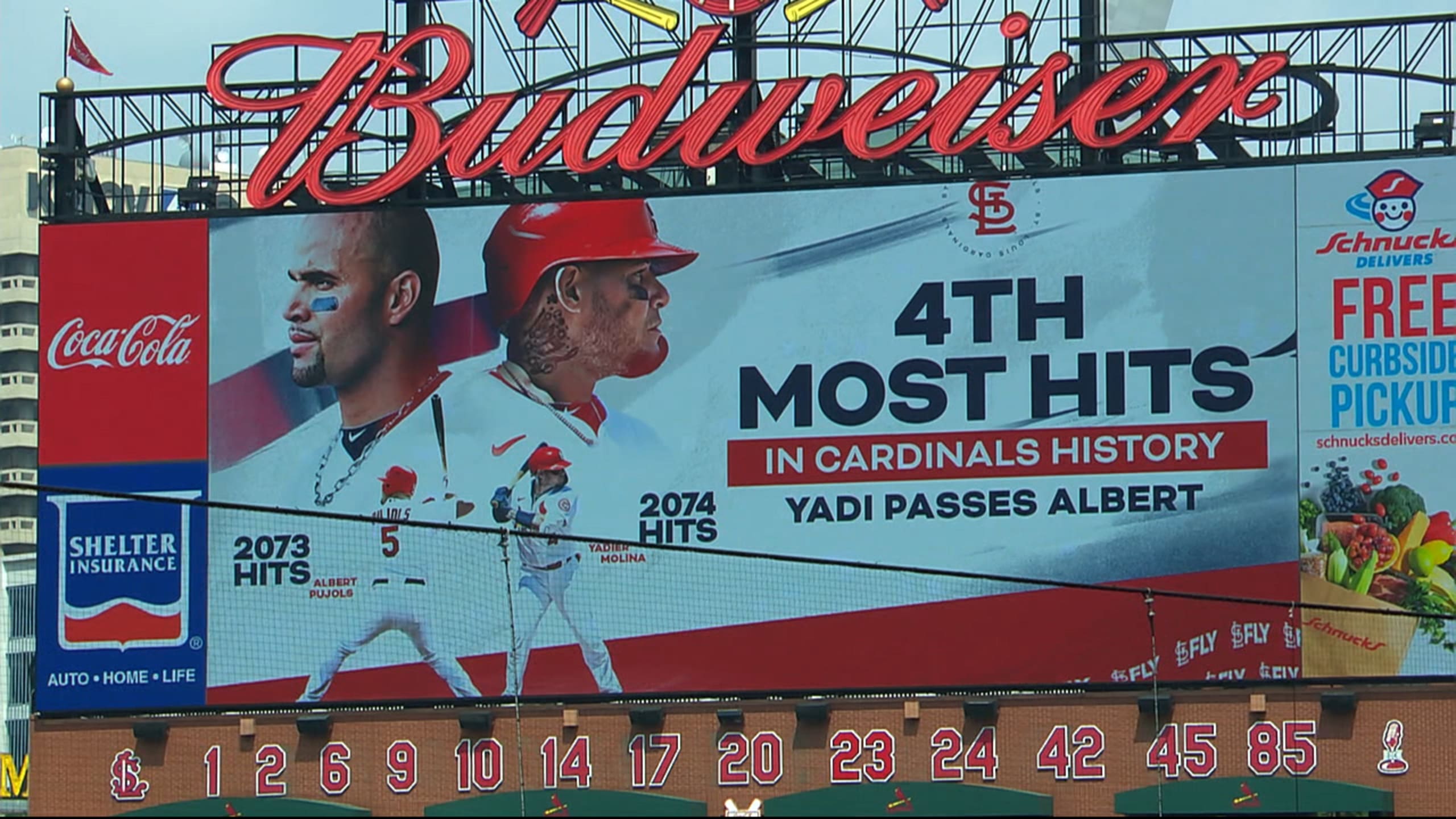 Cardinals History of Ball Caps Poster