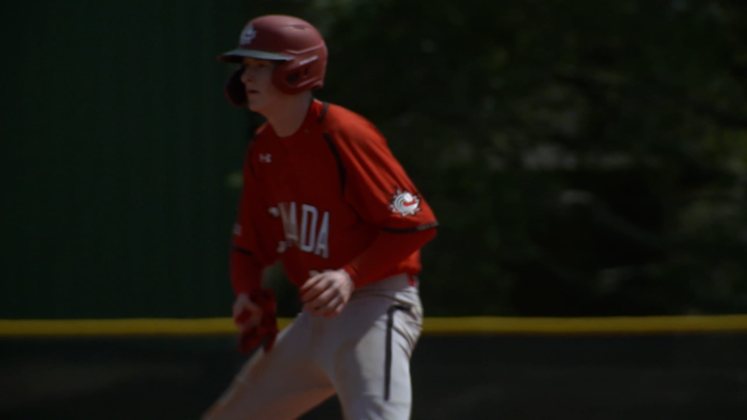 Top Prospects Owen Caissie, CHC