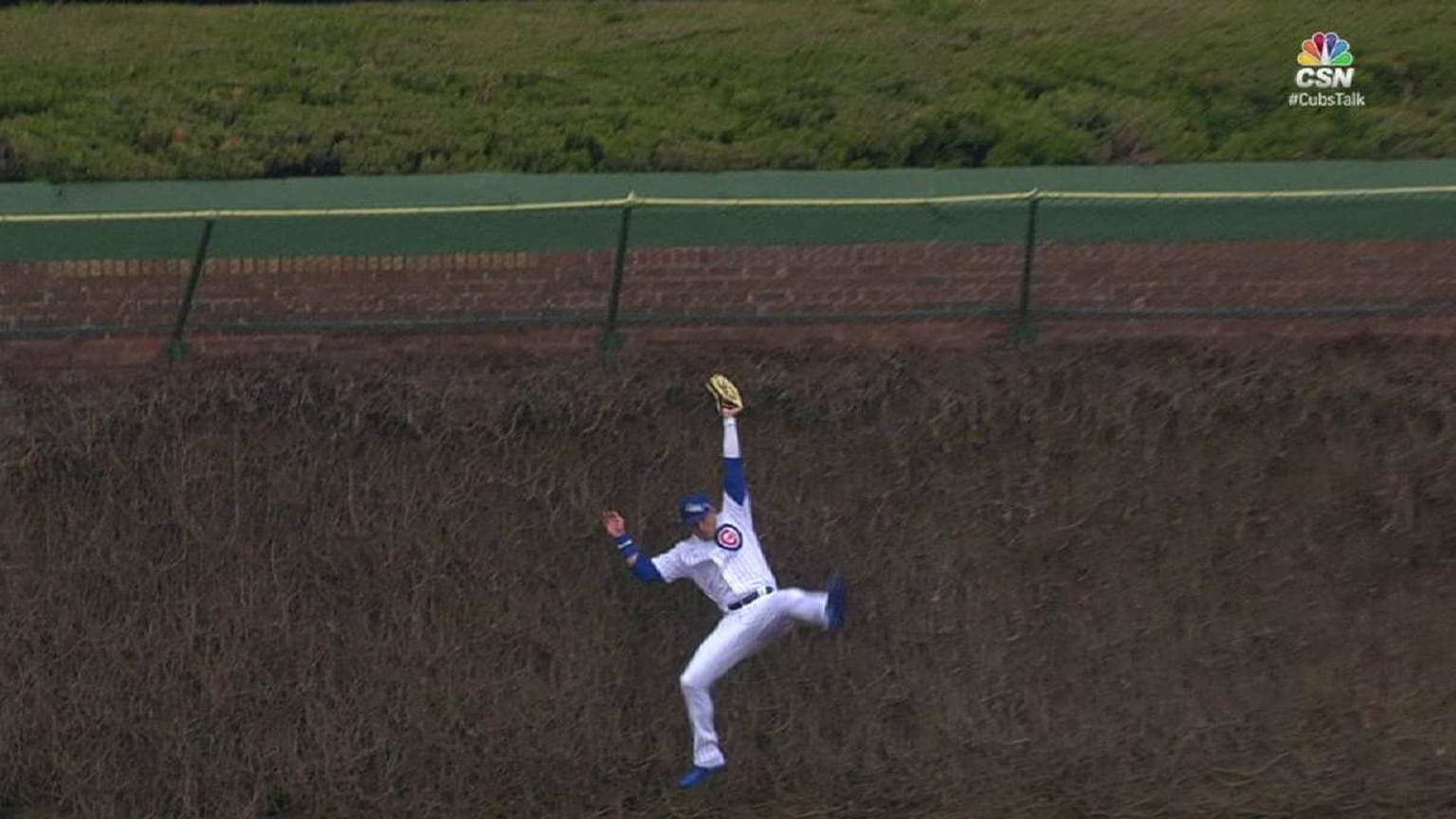 Albert Almora Jr.'s leaping catch, 08/17/2020