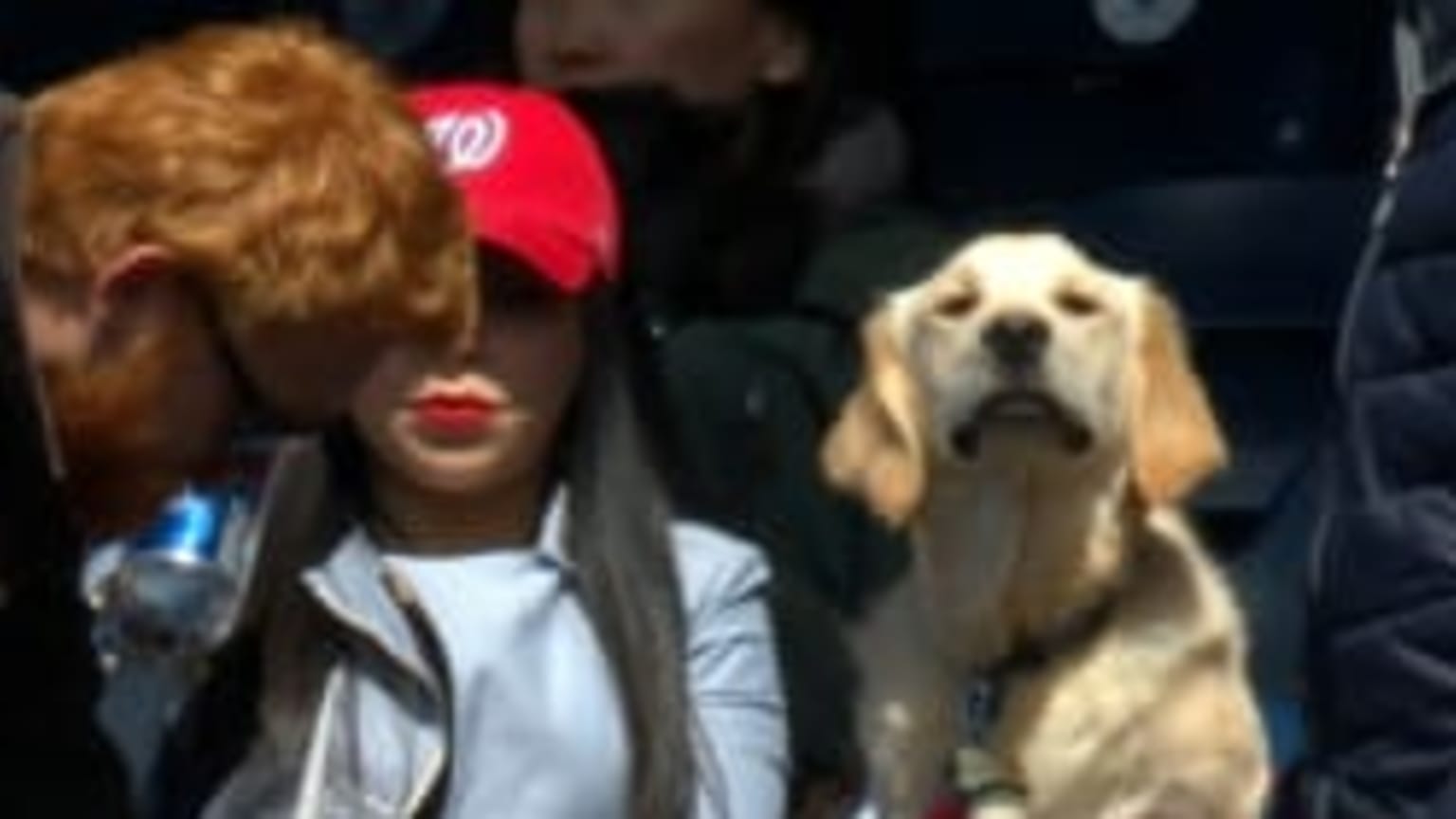 NYM@WSH: Nats host first Pups at the Park of the year | 03/31/2019 ...