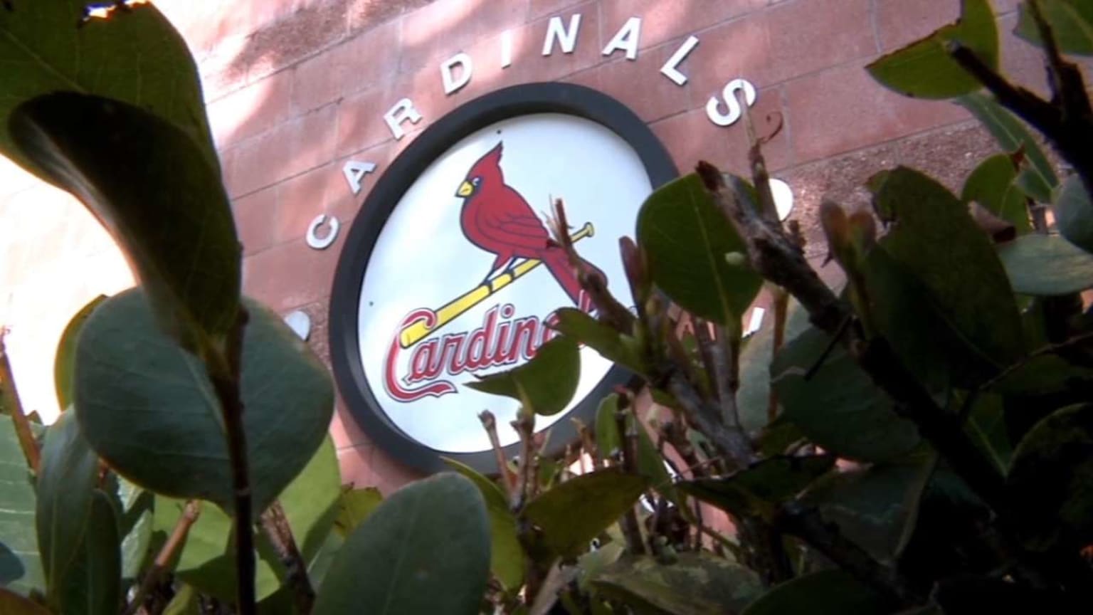 Cardinals Vacations | 09/28/2016 | St. Louis Cardinals