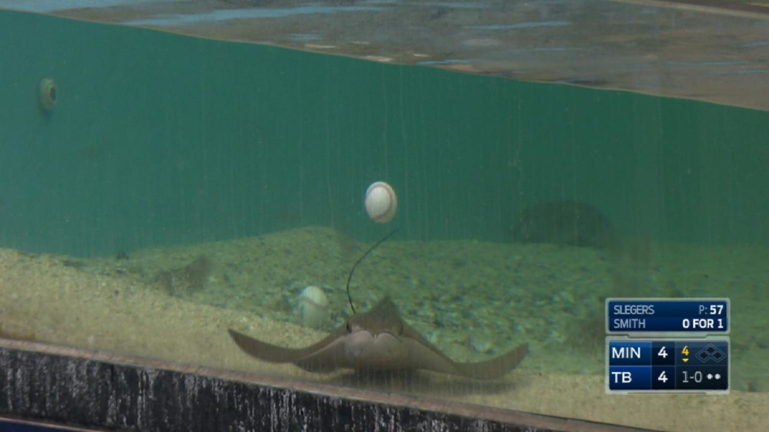 Baseball experiment in fish tank, 09/06/2017