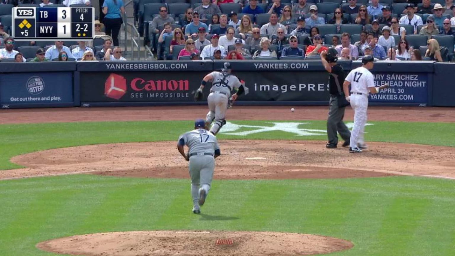 Yankees Fan Reaction Leads to Amazing 'Whoa' GIF During Sunday Night  Baseball, News, Scores, Highlights, Stats, and Rumors