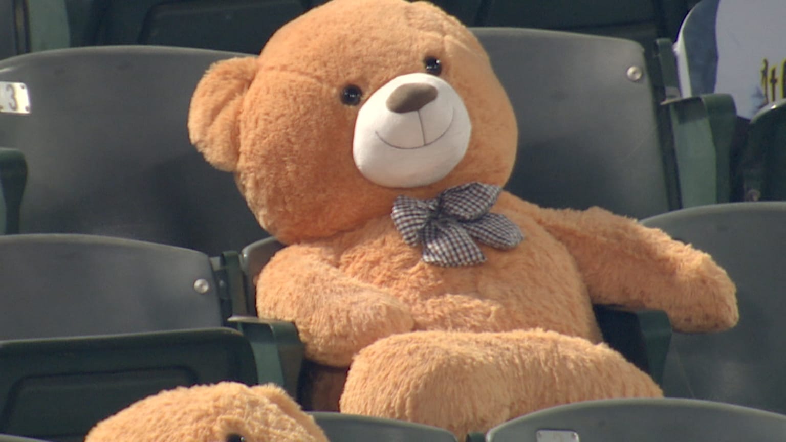 Baseball teddy bear outlet