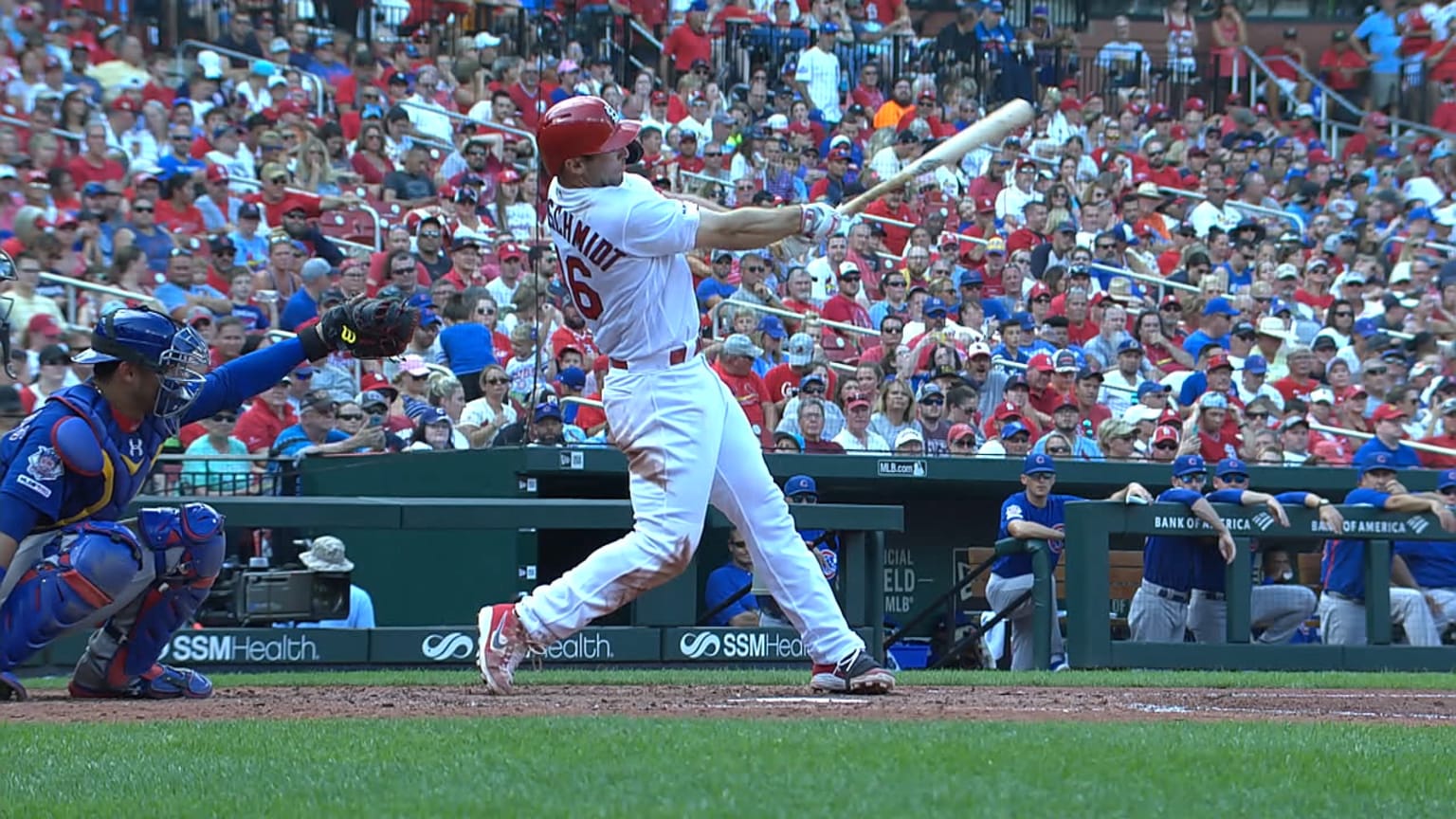 Tragic Loss Cardinals mourn the sudden death of Pauly Goldy...