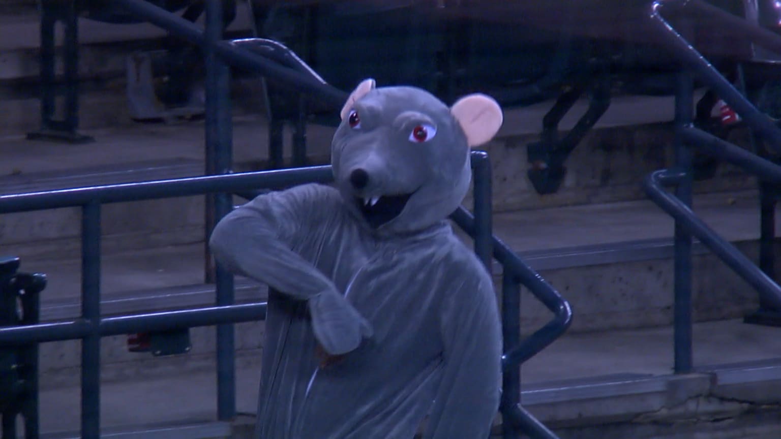 Rat Leon shows up to cheer on the D-backs | 09/10/2020 | Arizona ...
