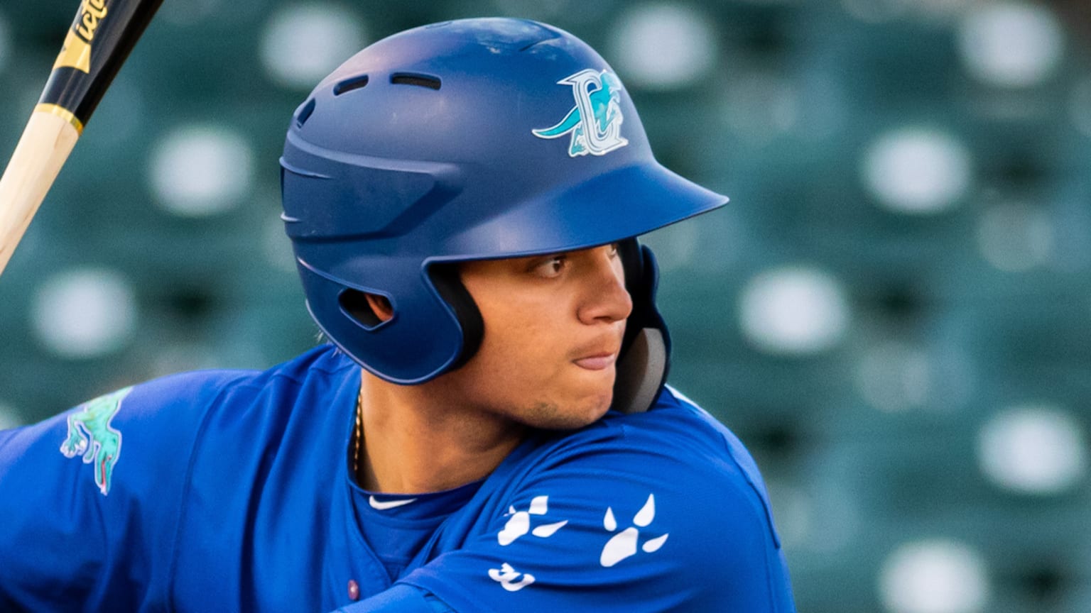 Top Prospects Andy Pages, OF, Dodgers 03/01/2021 Los Angeles Dodgers
