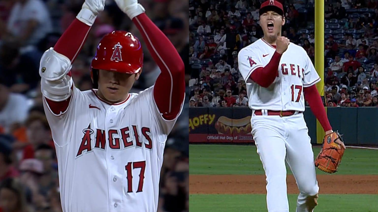 Shohei Ohtani  2022 Highlights 