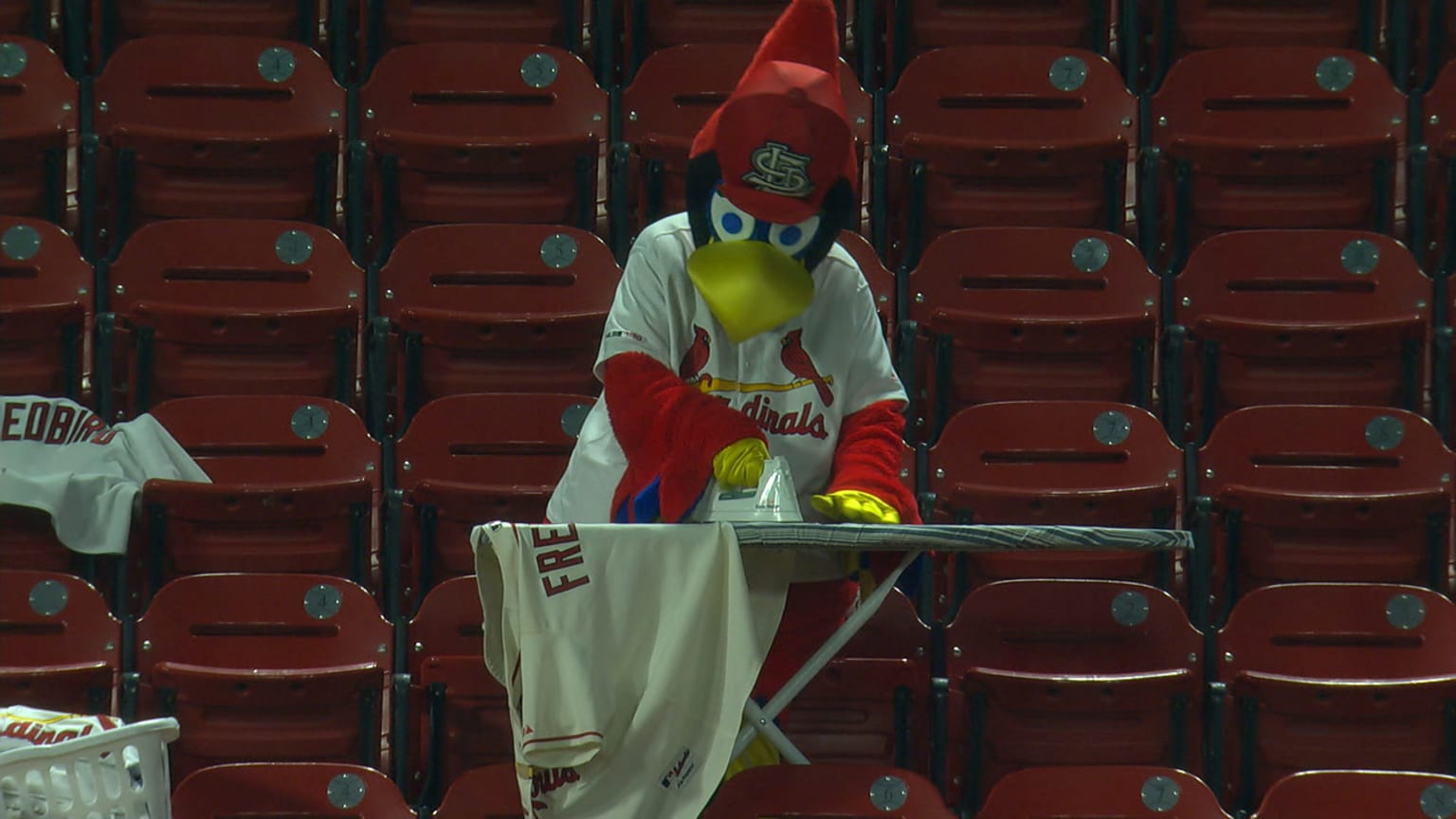 Cardinals, Fredbird does his laundry in Big Mac Land