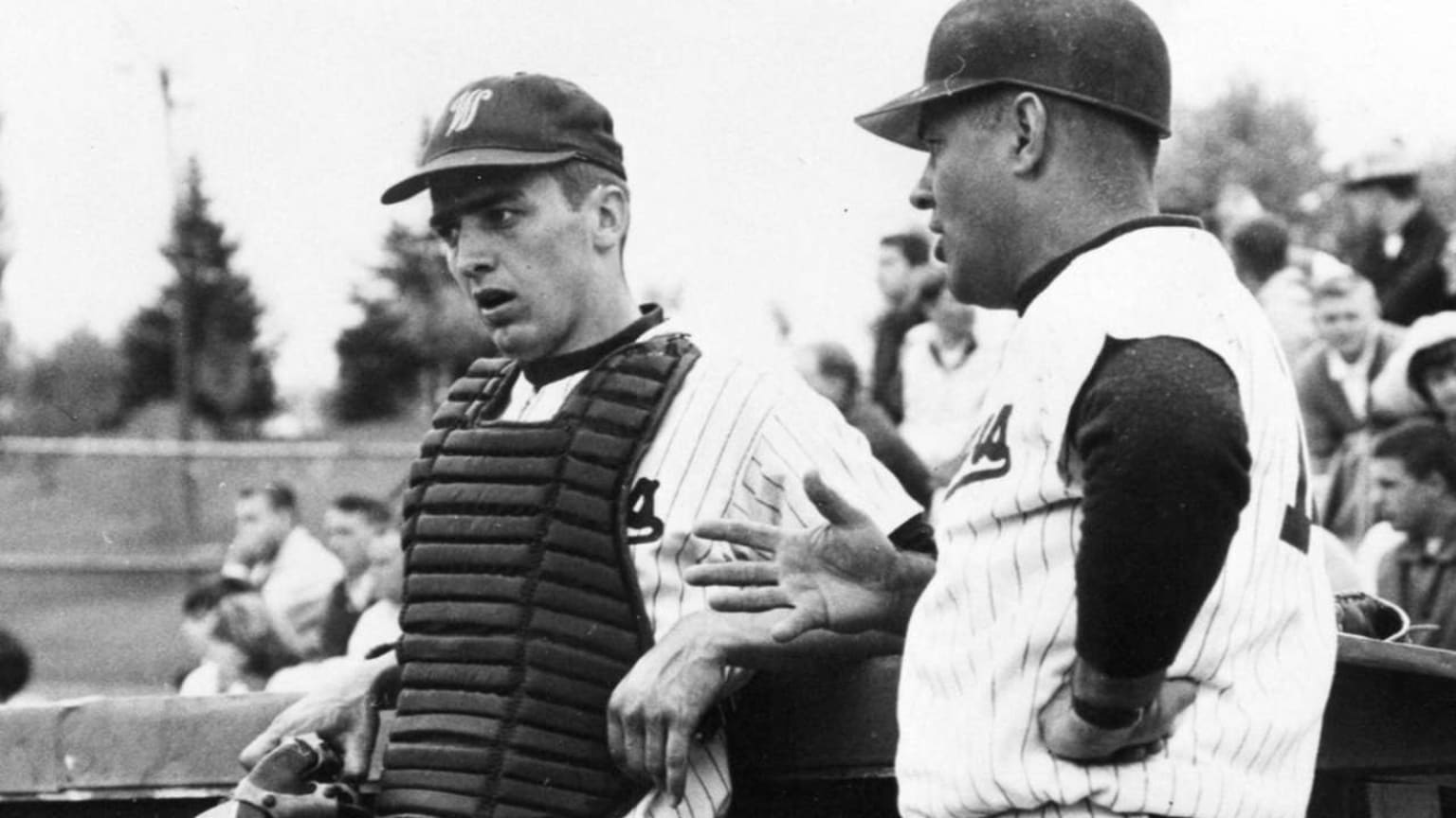 Former Washington State All-American catcher honored | 07/16/2016 | MLB.com