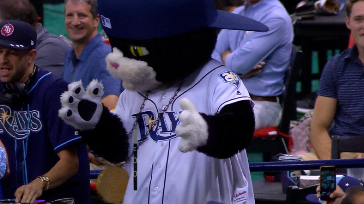 Raymond & DJ Kitty  Tampa bay rays, Rays baseball, Tampa bay