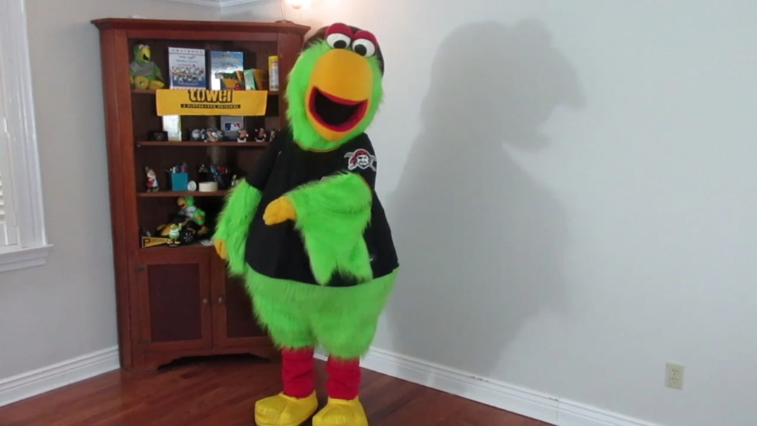 Pirate Parrot - PIttsburgh Pirates 