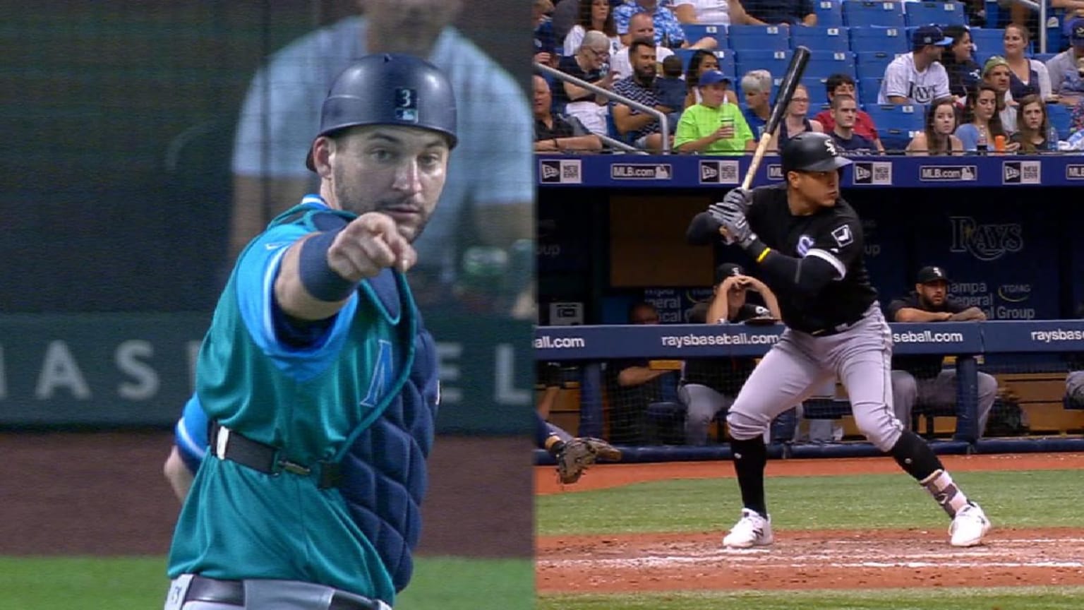 Rays' catchers and DHs 01/25/2019 Tampa Bay Rays