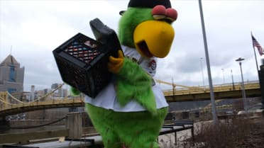 Just about that time. #mlb #pirates #baseball #parrot