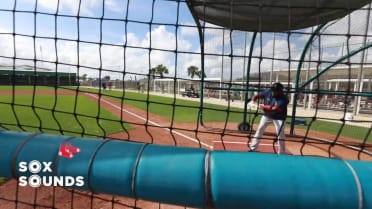 Sox Sounds: Ortiz bunts during BP