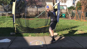 Labrador shares a bat path drill