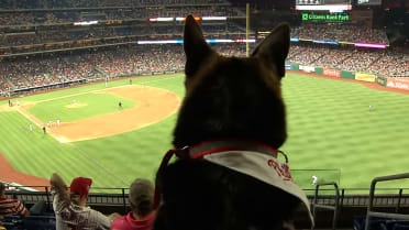 Bark at the Park - Dog Friendly Major League Baseball Games 2023 » Pet  Friendly Travel