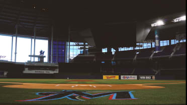 Baseball Is Back