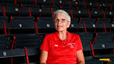 Friendly Fenway: Manferdini