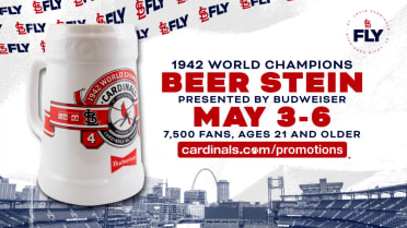Beer Stein Promo