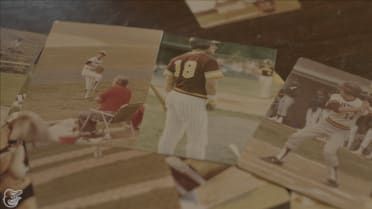 Birdland Hero: Galentine 