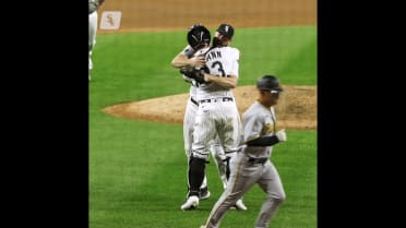 Thank You, White Sox Fans