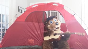 TC Bear Home Videos - In Tents