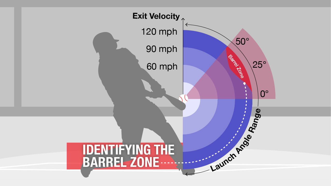 Bat Barrel