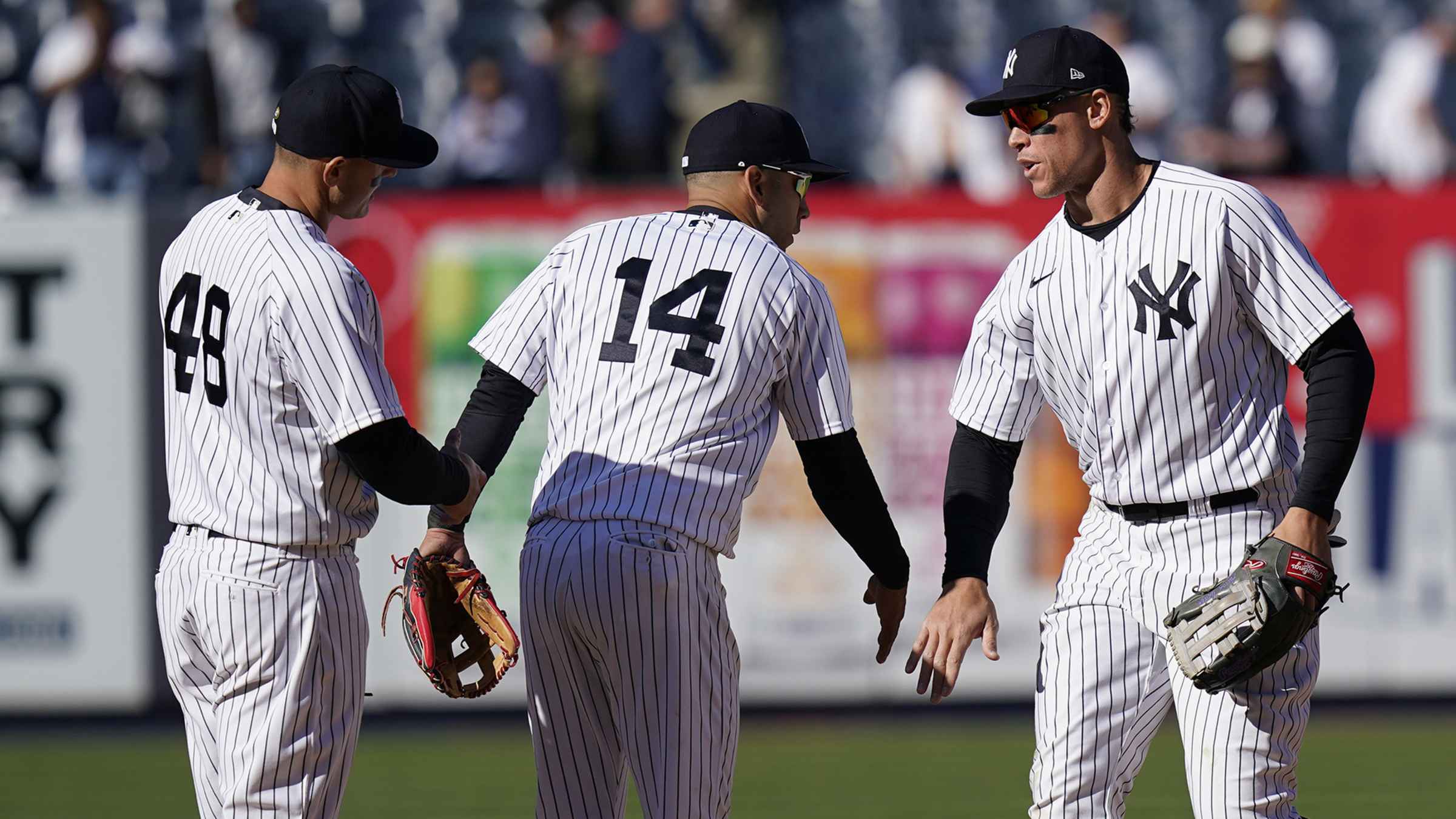 The New York Yankees: Baseball's Biggest Draw 