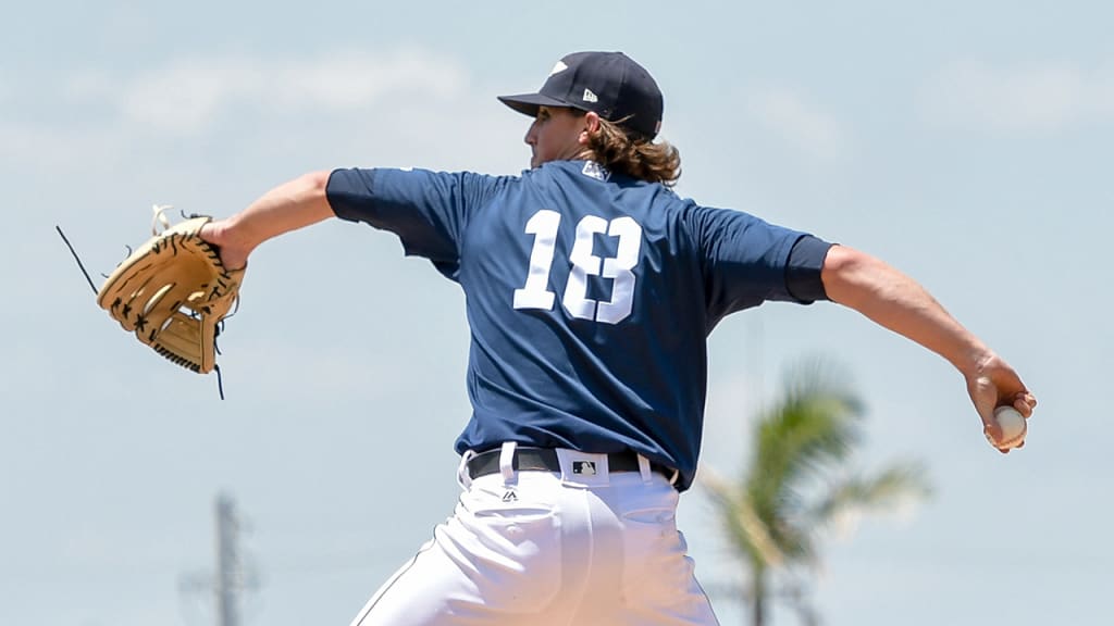 "I think the sky's the limit for him," Mud Hens catcher Bryan Holady said. "He's outstanding." (Tom Hagerty)