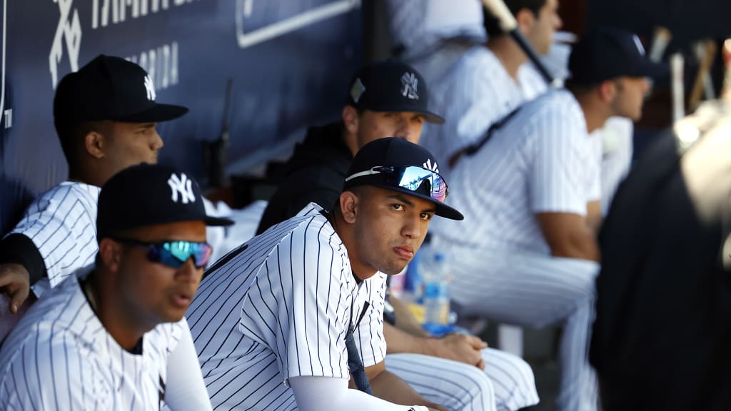 Peraza has sky-high expectations for himself, and Yankees coaches up and down the Minor League system share his optimism. As the Venezuela native lingers just outside the door to the big-league clubhouse, the shortstop is using this time to sand off the last few rough edges of his game.