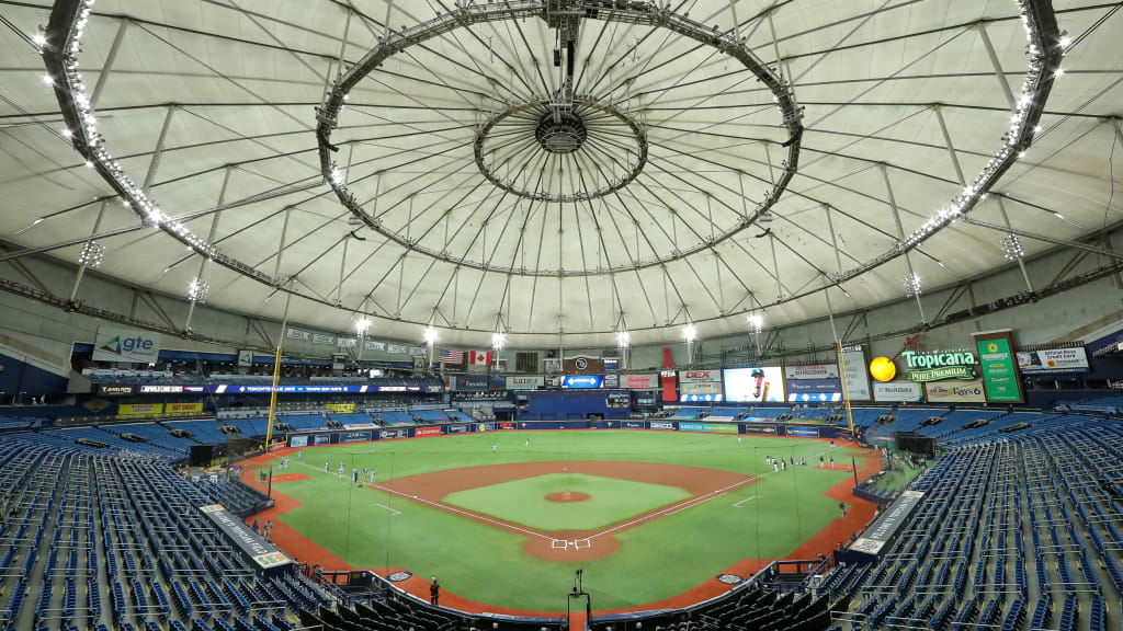 Tampa Bay Rays reach 2021 MLB postseason - The Sports Daily
