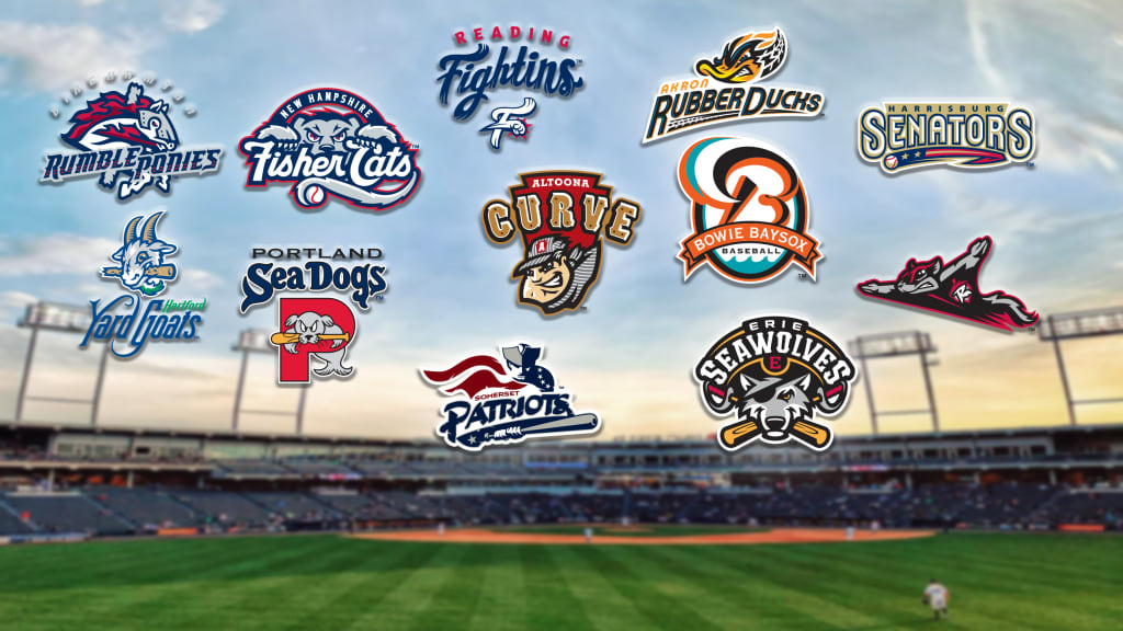 Get to know the Minor League teams in the High-A East