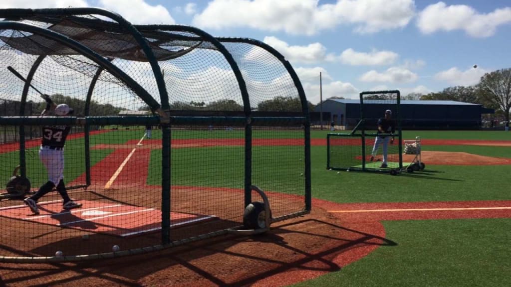 PHOTO GALLERY: Tigers full-squad workouts ramp up in Lakeland