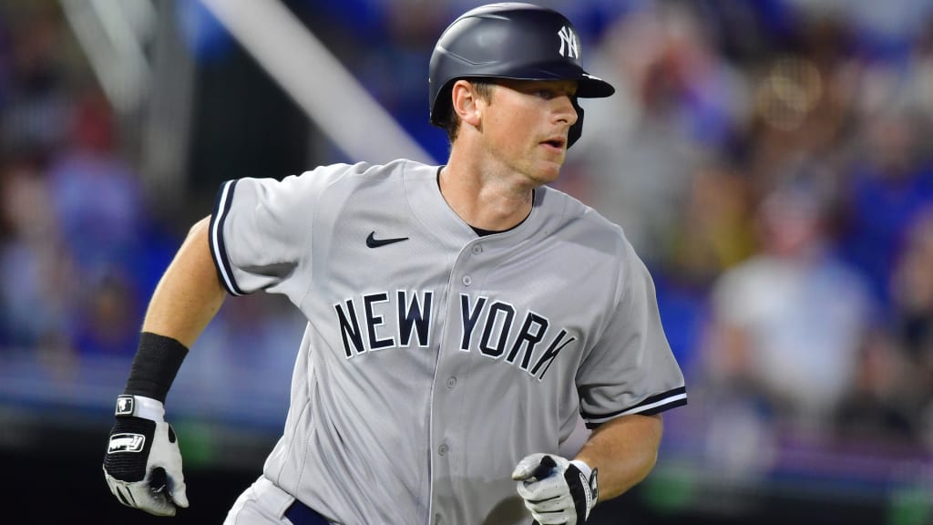 DJ LeMahieu had a strong bounceback season for the Yankees