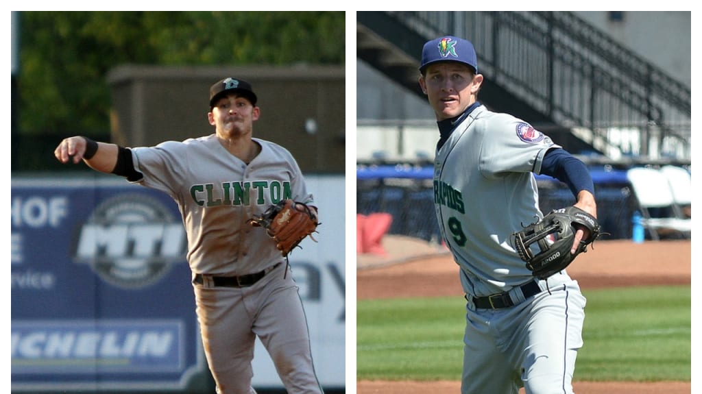 MiLB Collage