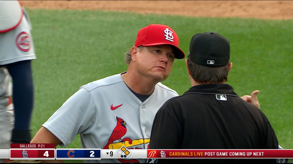 St. Louis Cardinals on X: Hangin' out(field). 🤙   / X