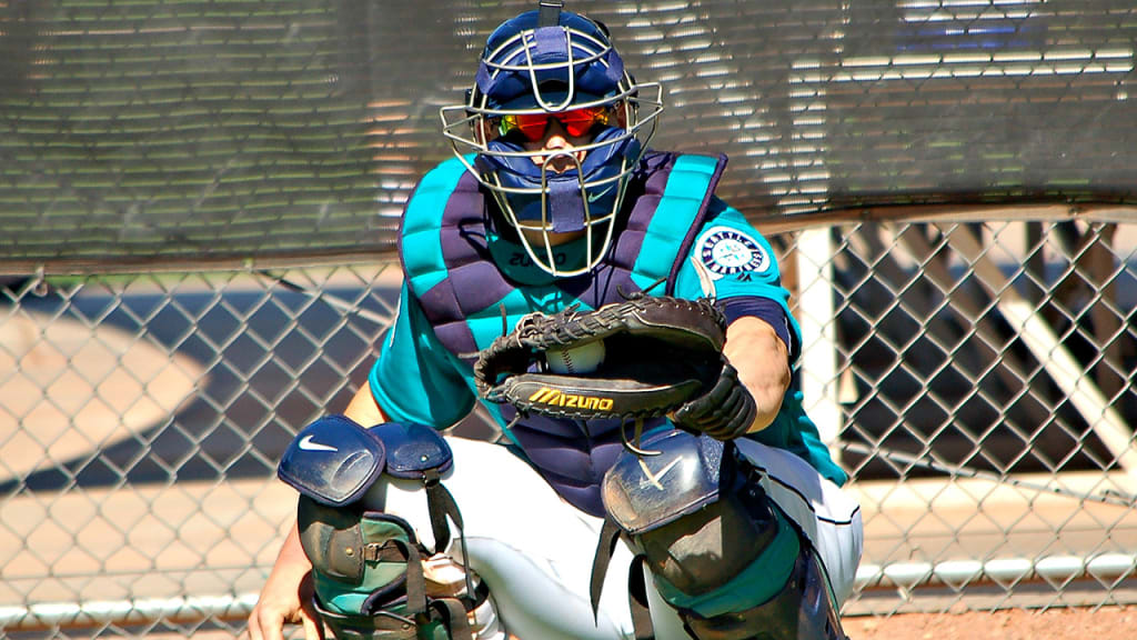 Catchers 101 by Mike Scott by Mike Scott