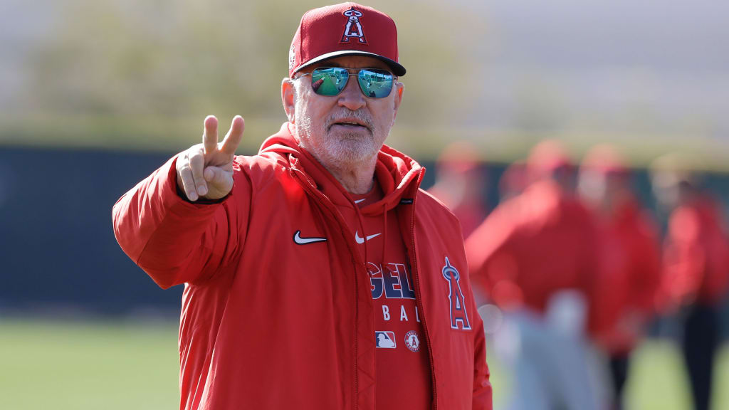 At age 66, Angels' Joe Maddon gets serious about preparation - Los Angeles  Times