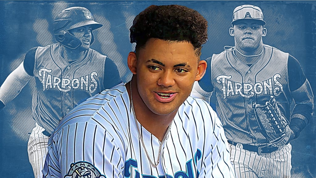 Jasson Dominguez Stats & Scouting Report — College Baseball, MLB Draft,  Prospects - Baseball America