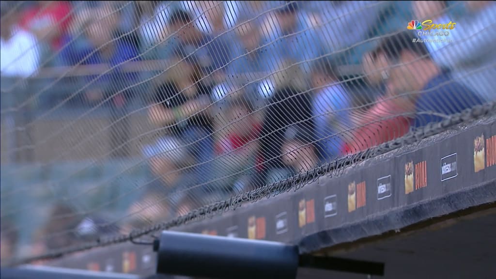 White Sox on extended netting