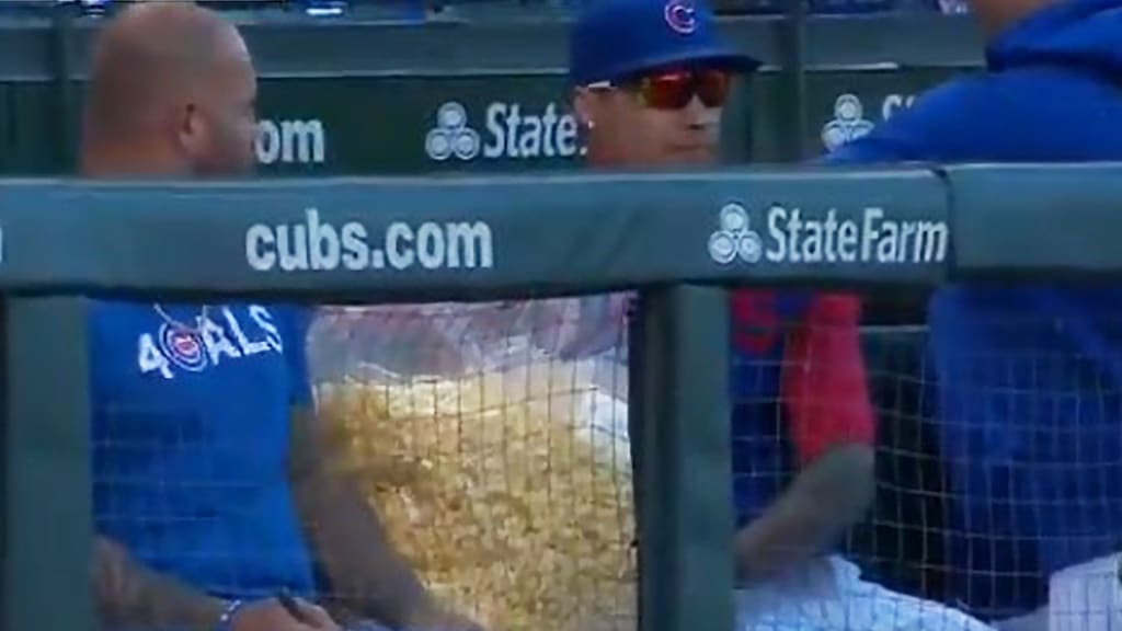 A Chicago Cubs spring training cap sits on the bench during the