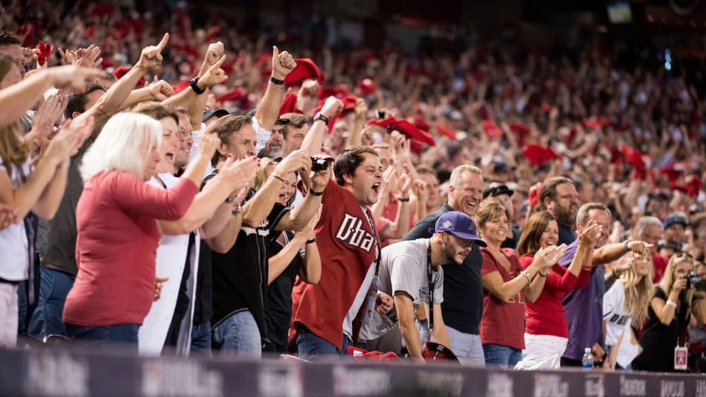 Buy D-backs Suites 