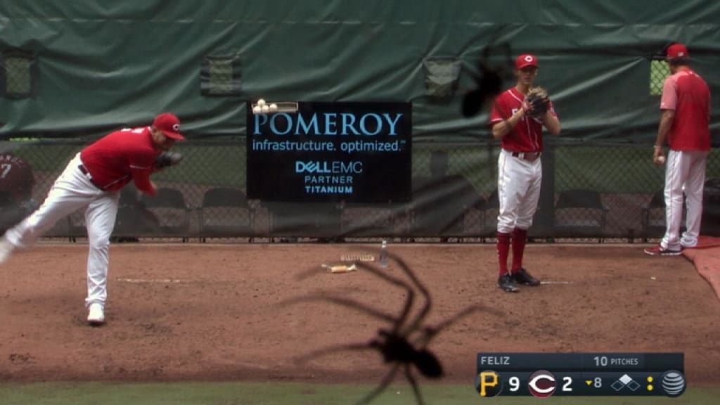 Clark the Cub's spider prank shows that he's already in mid-season form