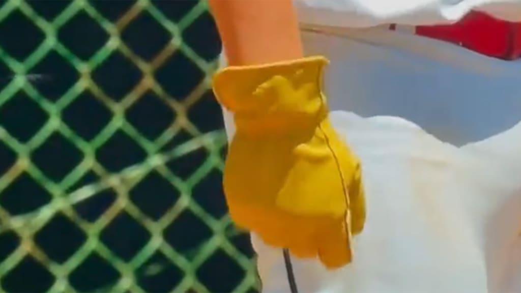 A close-up view of a baseball player's right hand with a yellow work glove on it
