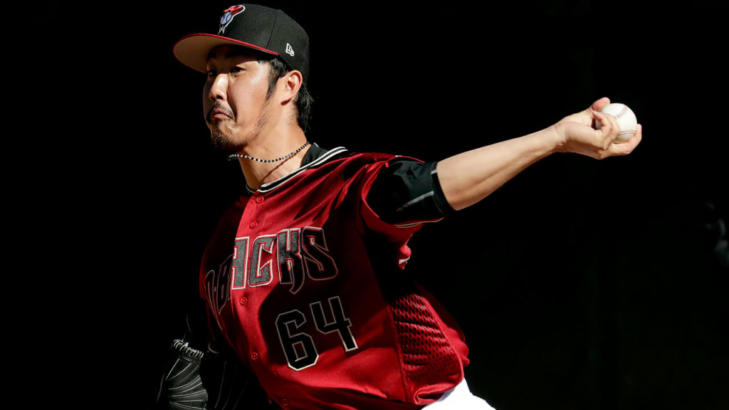 Yuhei Nakaushiro had a 1.23 ERA over 30 Minor League appearances last season. (AP)